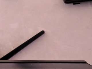 tylerbloom webcam model