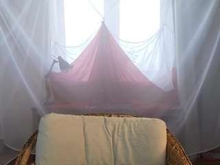  elwynabeeson chat room