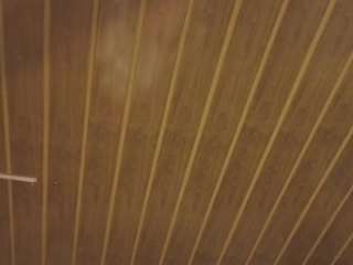 renaxi-smith live cam profile