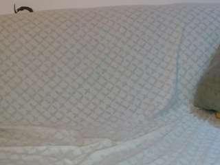 vanessa-aniston's CamSoda show and profile