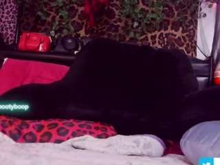 MsBootyBoop live cam — bbw, big ass, twerk