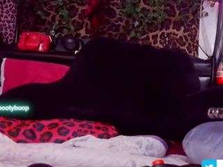 MsBootyBoop live cam — bbw, big ass, twerk