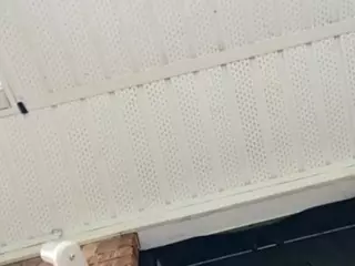 slut4uxo's Live Sex Cam Show