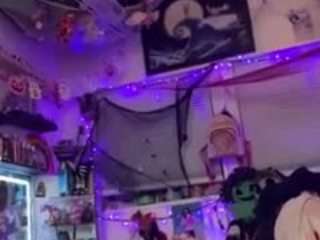 dragon6993's live room