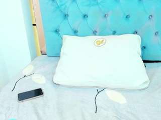 pocahontas-pow webcam