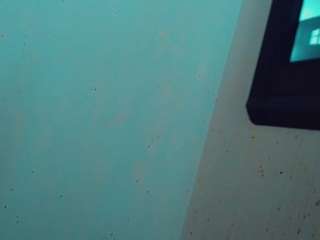 emeli-roushot webcam model