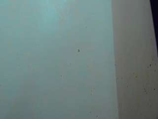 emeli-roushot webcam