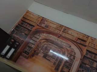 emeli-roushot webcam