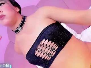 Vanessapintoo