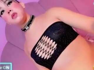 Vanessapintoo