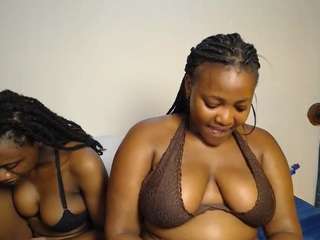 mcsteamydaisy webcam