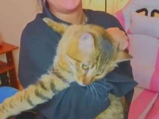 niicole-fox2