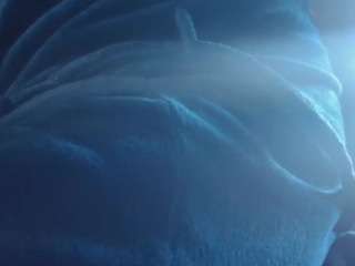 fucker1965 Live Webcam on CamSoda