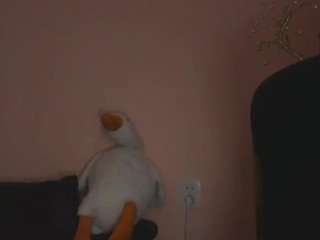 medjik-lool live cam profile