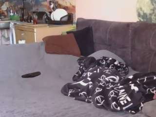 Medjik-lool live cam preview