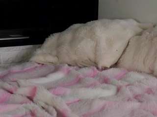 Lucy