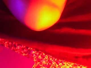 spinprincess