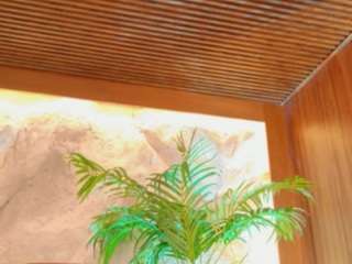 alison-mooon live cam profile