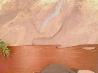 alison-mooon Toy live webcam