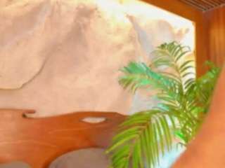 alison-mooon webcam