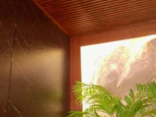 alison-mooon