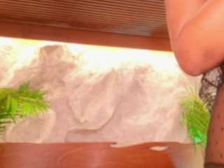Alison-mooon's cam show statistics and live stream