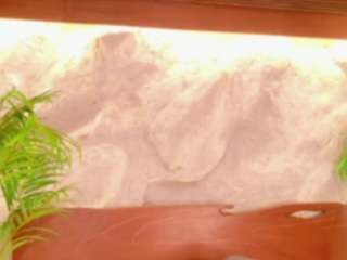 Alison Moon live cam preview