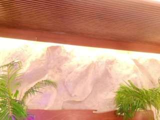 Alison Moon live cam preview
