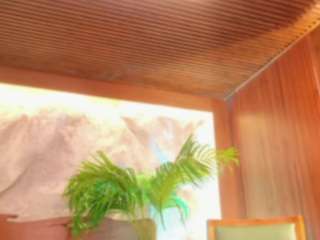Alison-mooon's cam show statistics and live stream