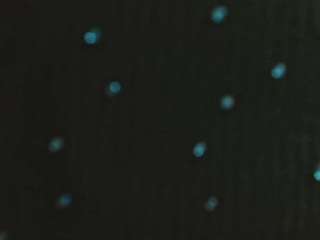 sarahh-sophia webcam