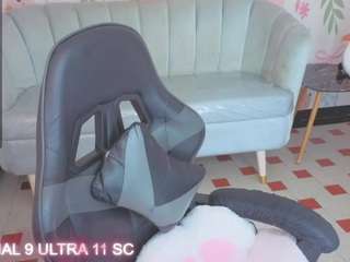 paris09-v Bi live webcam