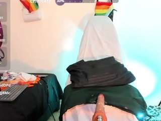 la-ratona webcam