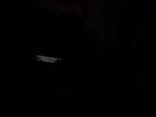 stephaniebby91 webcam