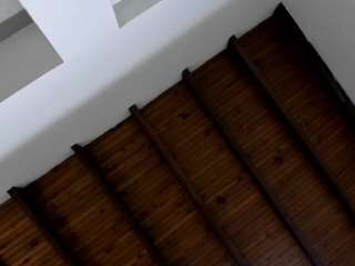 Venuss07