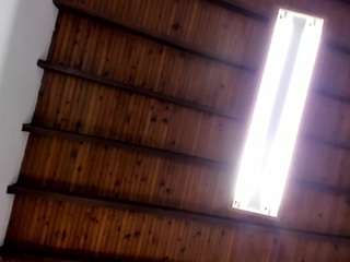 venuss07 webcam