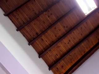Venuss07