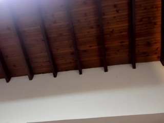 Venuss07