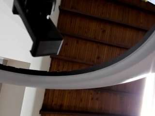 Venuss07