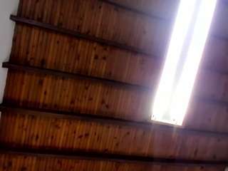 venuss07 Webcam Model Profile