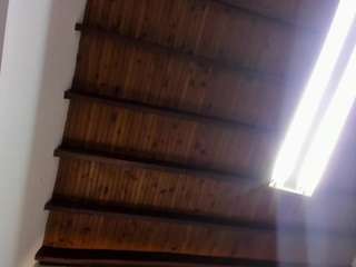 venuss07 webcam