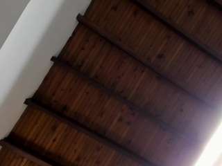 Venuss07