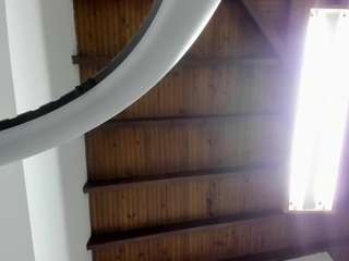 venuss07 webcam