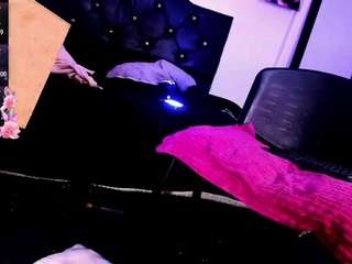 rosedewitt webcam model