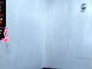 rosedewitt live webcam show