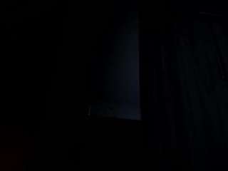 rosedewitt live cam preview