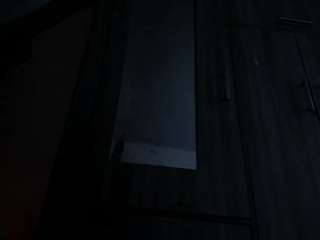 rosedewitt live cam preview