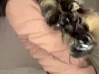 philippabride webcam