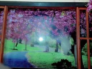 alessa-mullen webcam