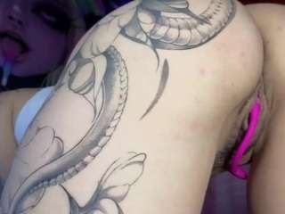 fairysquirt