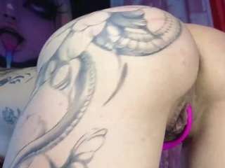 fairysquirt